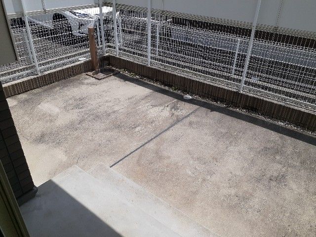 庭