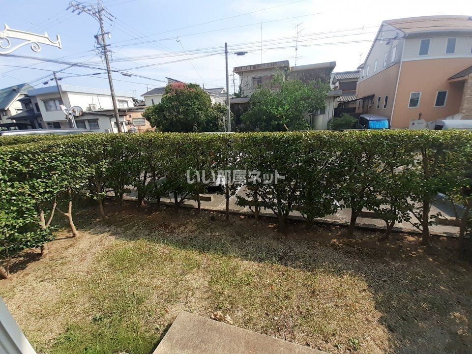 庭