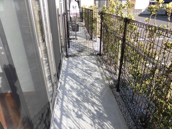 庭