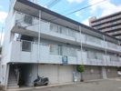 マリッチ今宿の間取り画像