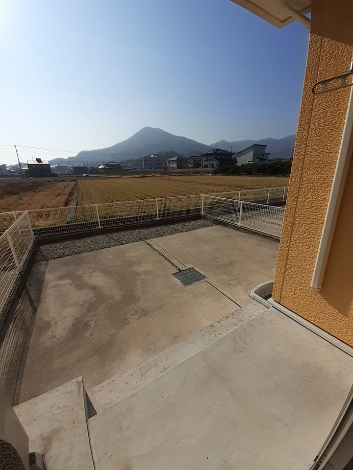 庭