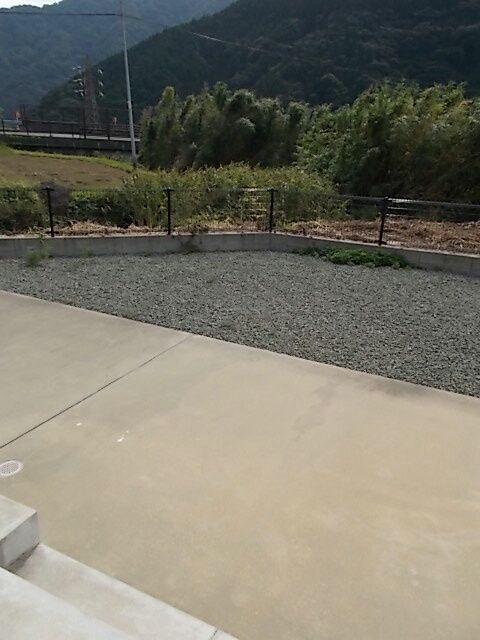 庭