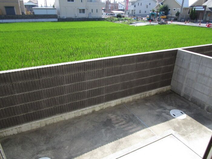 庭