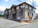 ウィルモア杢師の間取り画像
