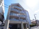 セレクテ西大路の間取り画像