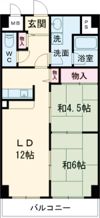 グレイスコートの間取り画像