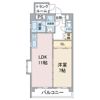 アピエ黄金の間取り画像