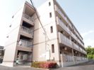 アイランドマンションの間取り画像