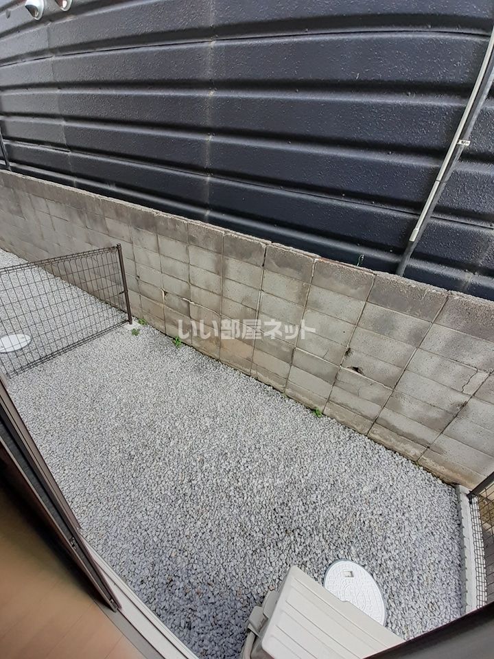 庭