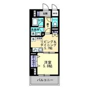 エルドラード常磐町の間取り画像