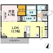 メゾン カルムの間取り画像
