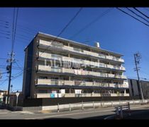 子持松コーポの外観画像