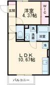 ラピスラズリの間取り画像