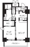 ステラ平塚の間取り画像