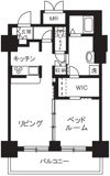 ステラ平塚の間取り画像