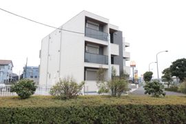 Gypsophilaの外観画像