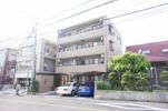 鷸の外観