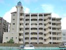 ラフィーネ掛川bⅡの間取り画像