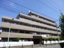 ファミール行徳の間取り画像
