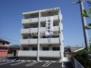 MADRE関谷・光の間取り画像