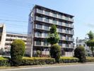 プラティークあらこの間取り画像