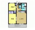 ベーシックパレスの間取り画像
