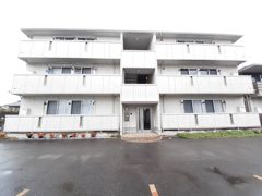 ラグジュアリ新涯 A棟の外観画像