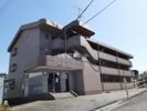 エテルノジェンテの間取り画像
