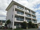 マンションチアフルの間取り画像