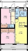 エリュシオン新富の間取り画像