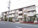ソーレ ルーチェの間取り画像