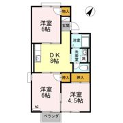 アルケミラ糸米の間取り画像