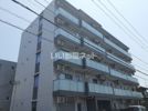 インテリオーラの間取り画像