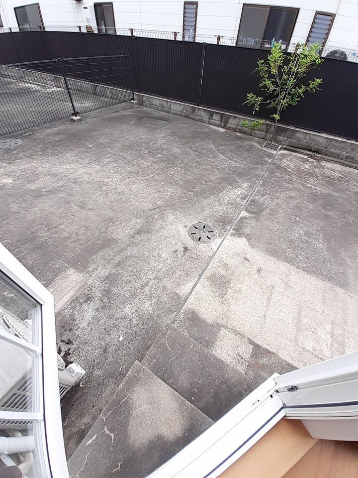 庭