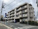 アクエルド長岡京の間取り画像