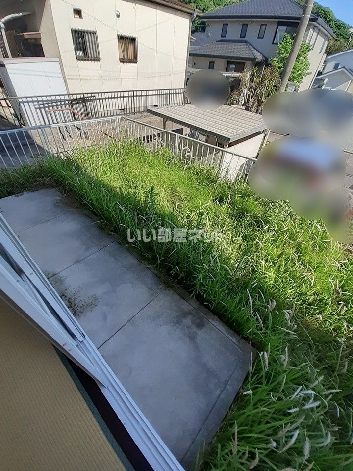 庭