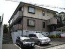 ジュネス上池台の間取り画像