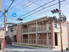 メインクーンの外観画像