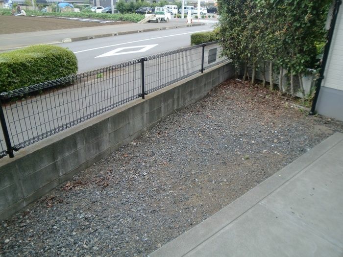 庭