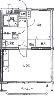 セルリア大橋の間取り画像