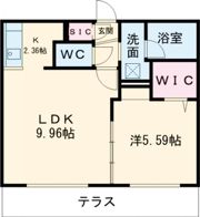 Shiraz(シラーズ)の間取り画像