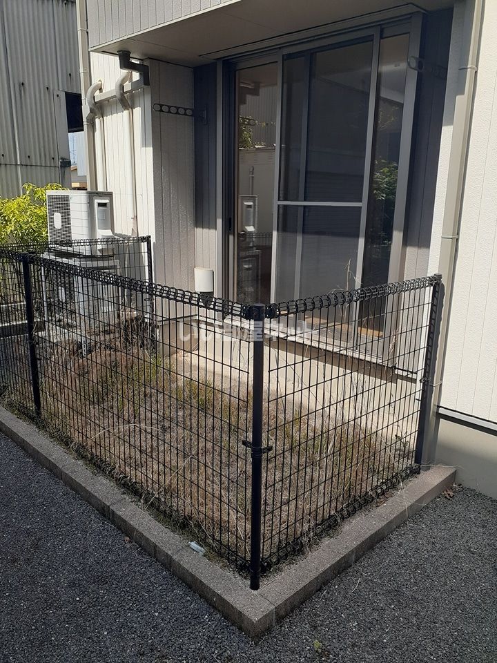 庭