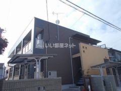 フェンネルの外観画像