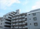 ライオンズマンション薬院第6の間取り画像