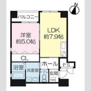 パセオアグラシオン今出川の間取り画像