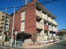 サニーコート Ⅱの間取り画像