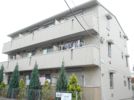 グラシューズ市川の間取り画像