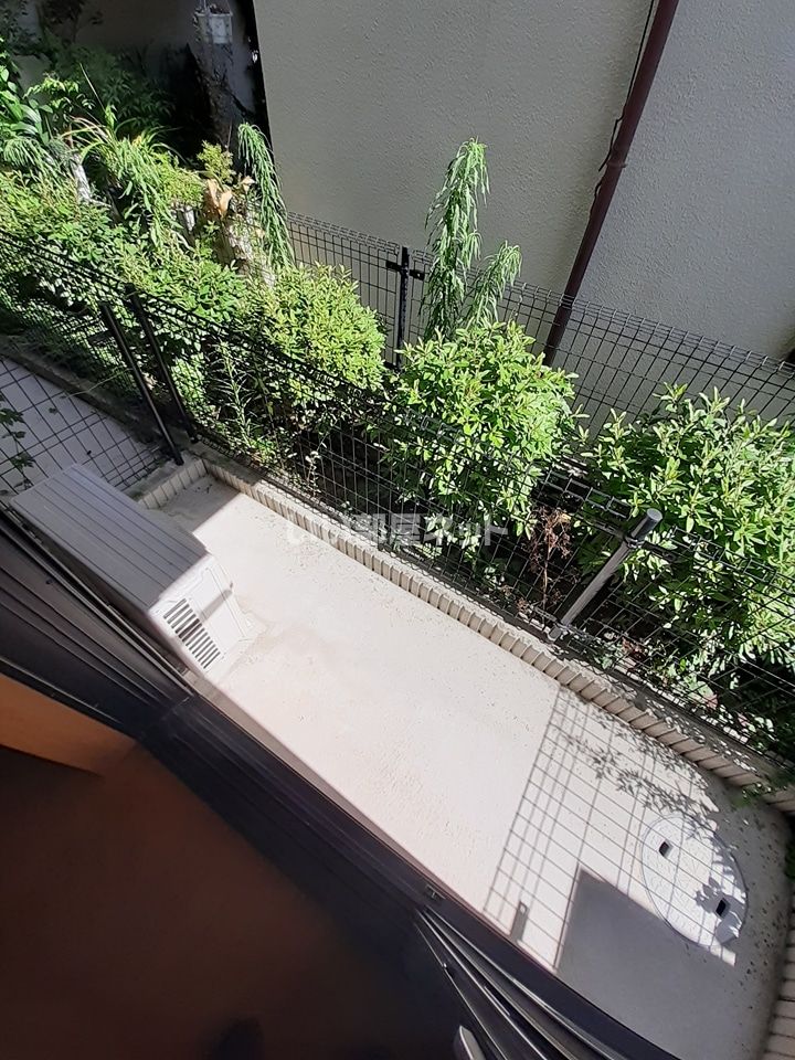 庭