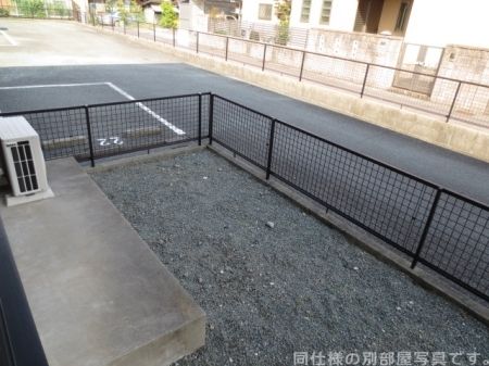 庭