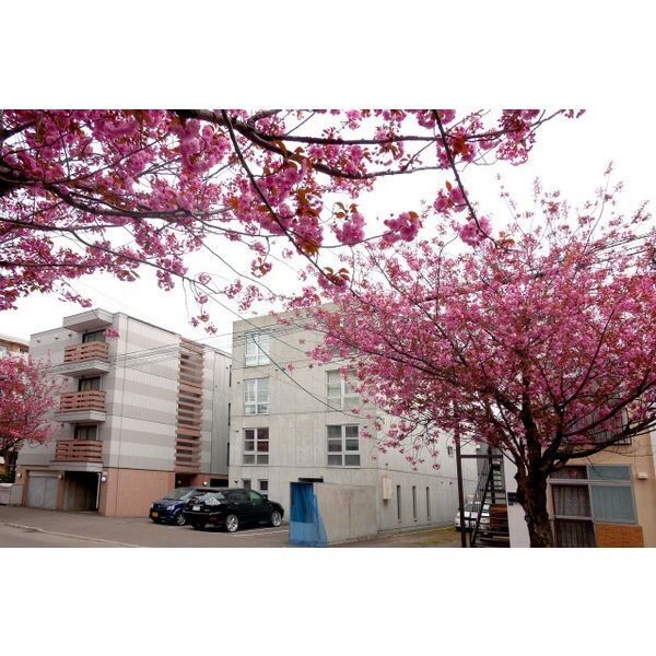 近くに施設あり